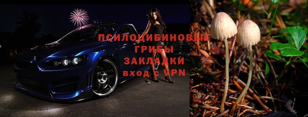 прущий лед Белокуриха