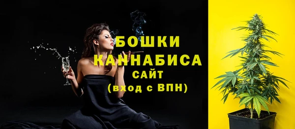 молекула духа Белоозёрский
