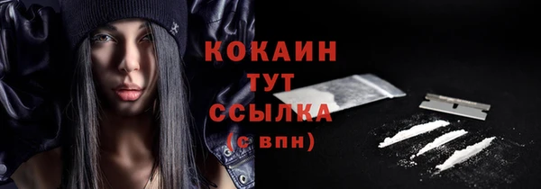 молекула духа Белоозёрский