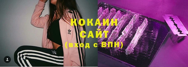 молекула духа Белоозёрский