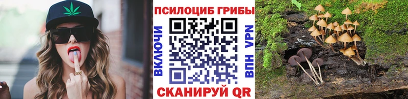 даркнет сайт  Видное  Псилоцибиновые грибы MAGIC MUSHROOMS 