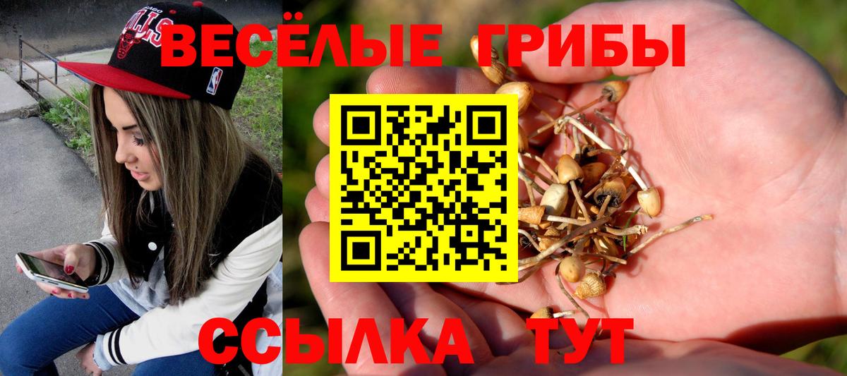 Видное  Псилоцибиновые грибы Magic Shrooms  Вход с VPN 